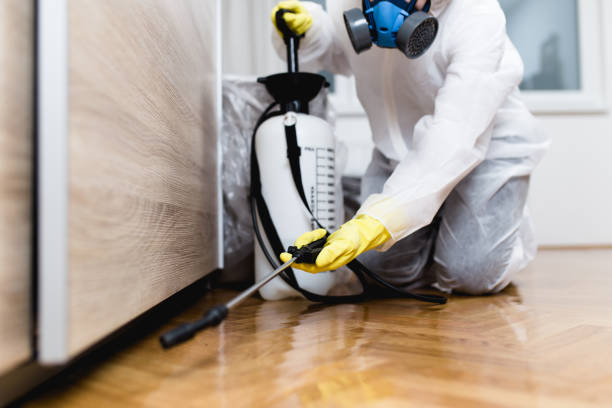 Trusted Butler, MO Pest Control Experts
