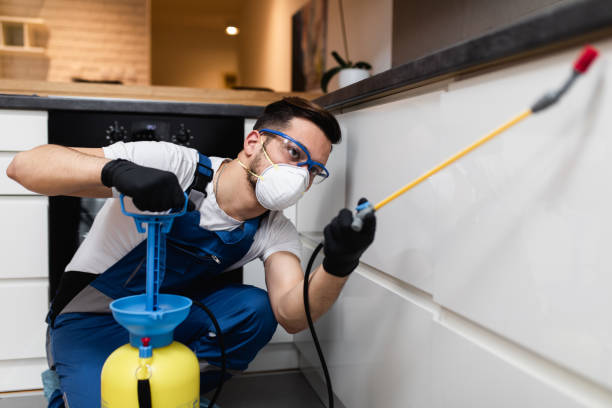 Best Rat Extermination Near Me  in Butler, MO