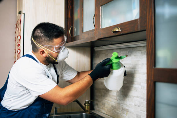 Best Insect Control  in Butler, MO
