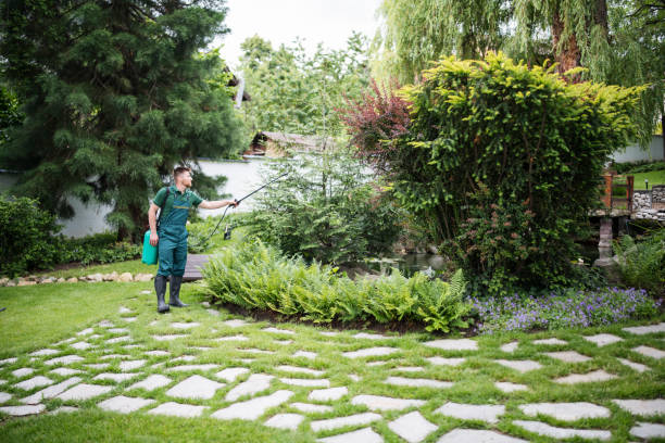 Best Pest Removal Services  in Butler, MO