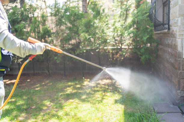 Bird Control in Butler, MO
