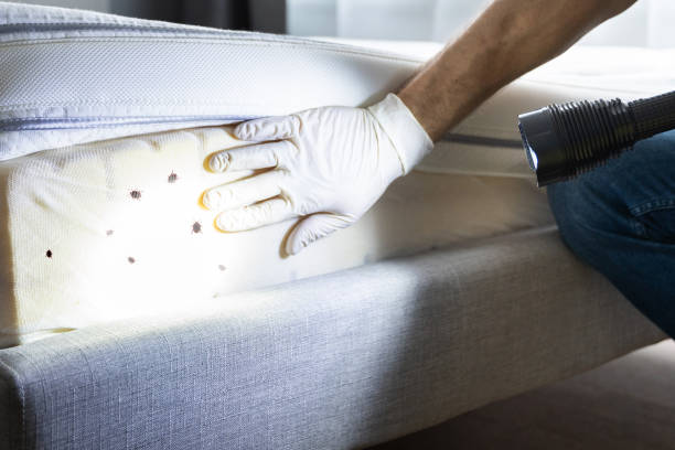 Best Pest Control Treatment  in Butler, MO