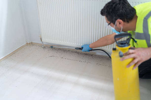 Best Bed Bug Extermination  in Butler, MO