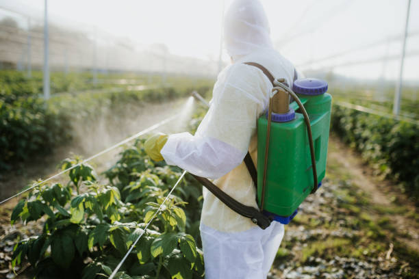 Best Mosquito Control Services  in Butler, MO